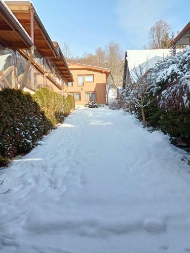 Apartm�n Vladim�r