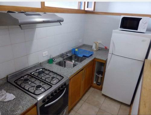 Apartamento Depto Centrico Con Peque�o Jardin Y Parrilla