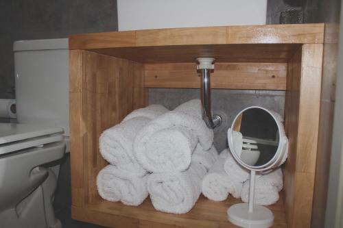 Apartamento Aliwen Coihue
