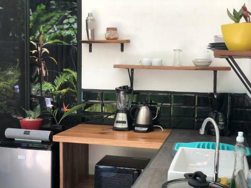 Casa Eden - Modern Peaceful Jungle Apartments