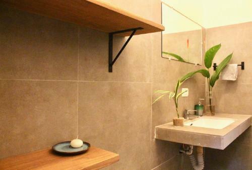 Casa Eden - Modern Peaceful Jungle Apartments