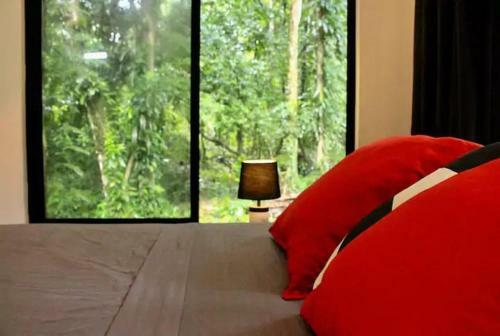 Casa Eden - Modern Peaceful Jungle Apartments