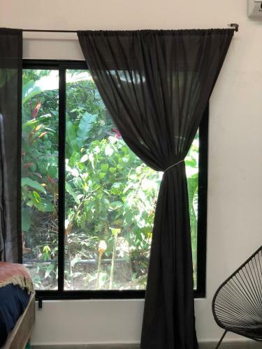 Casa Eden - Modern Peaceful Jungle Apartments