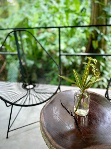 Casa Eden - Modern Peaceful Jungle Apartments