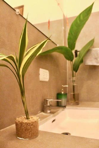 Casa Eden - Modern Peaceful Jungle Apartments
