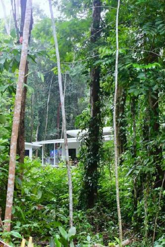 Casa Eden - Modern Peaceful Jungle Apartments