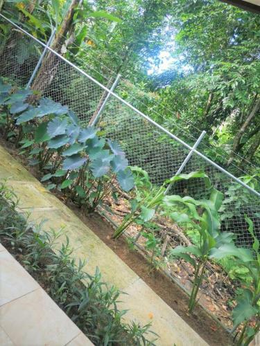 Hostal Arococles (luc�a)