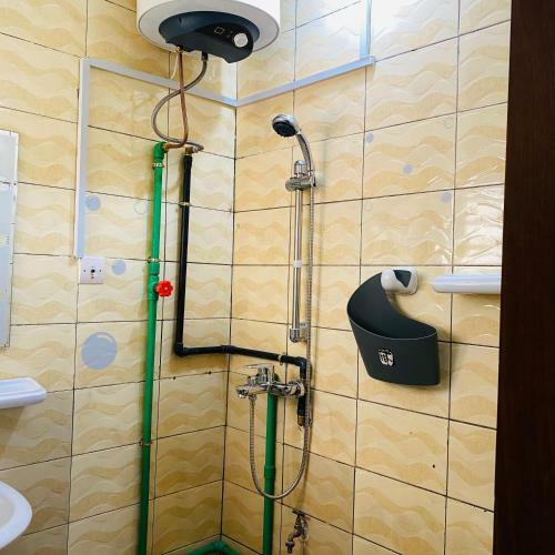 Apartamento Loony Guesthouses - Green House