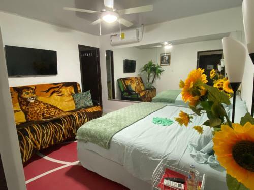 Hostal Casa Bolonia