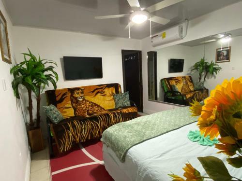 Hostal Casa Bolonia