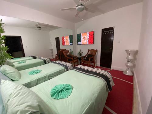 Hostal Casa Bolonia