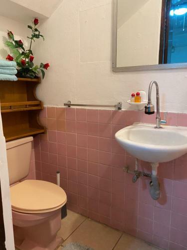 Hostal Casa Bolonia