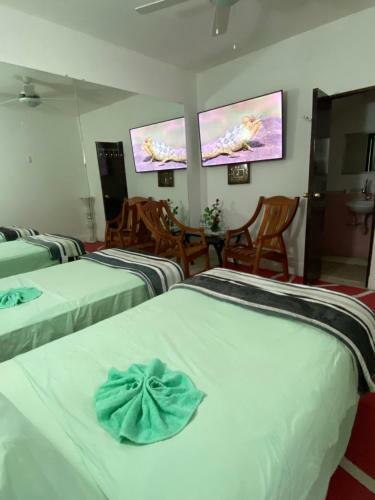 Hostal Casa Bolonia