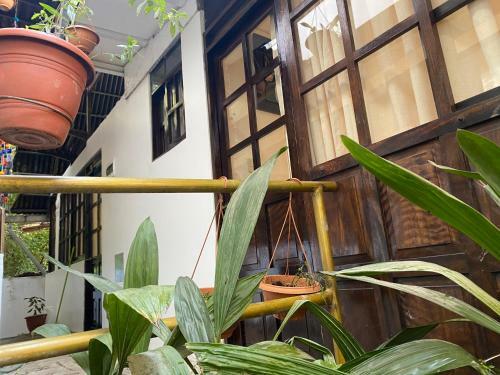 Rupa Rupa High Jungle Eco B&B