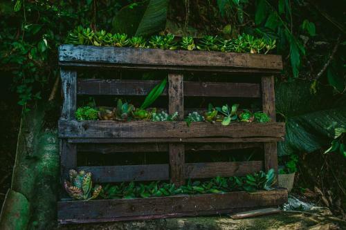 Rupa Rupa High Jungle Eco B&B