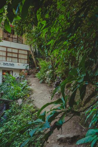 Rupa Rupa High Jungle Eco B&B