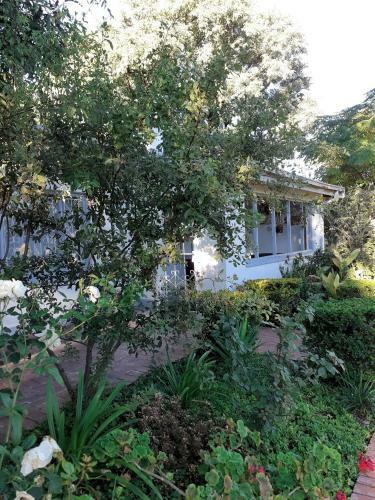 Driftwood Boutique Bed And Breakfast