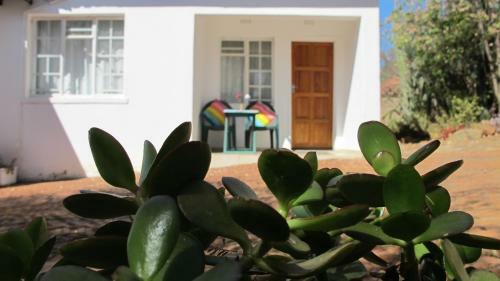 Apartamento Swinburn?s Rest