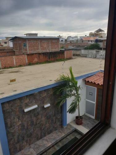 Crucita Catusa