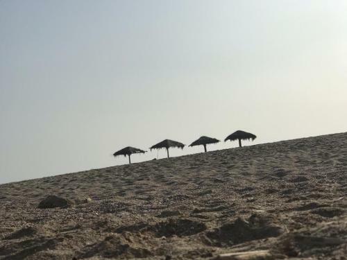Apartamento Ocean Club/tower - Mediterranea -playas