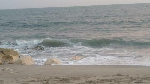 Apartamento Ocean Club/tower - Mediterranea -playas