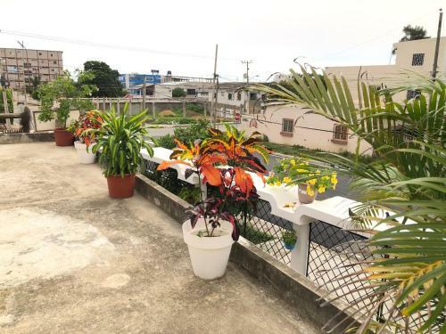 Apartamento Pangora