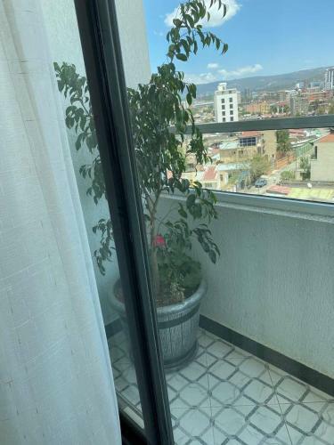 Hotel Ecco Modern Guest House