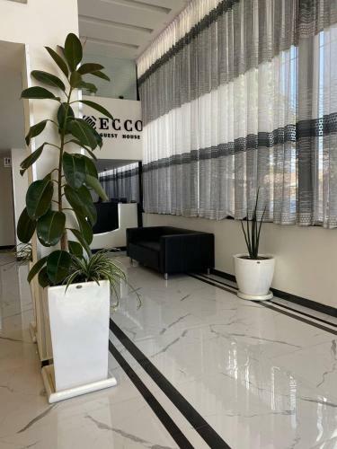Hotel Ecco Modern Guest House