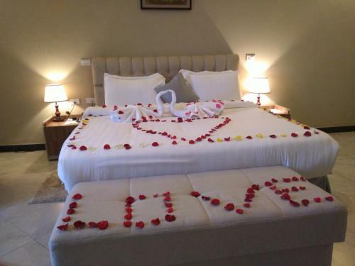 Daisy Hotel