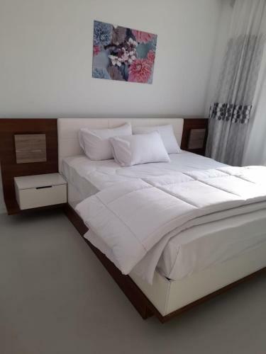 Hostal Swan Lake