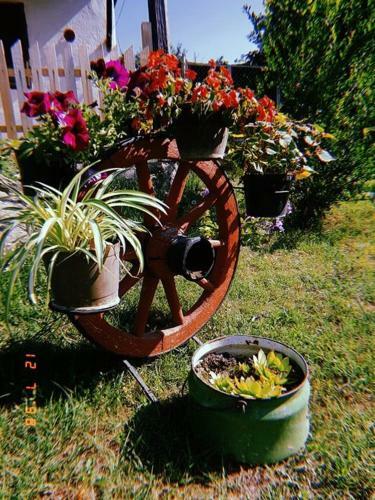 Apartamento Vila Happy Story