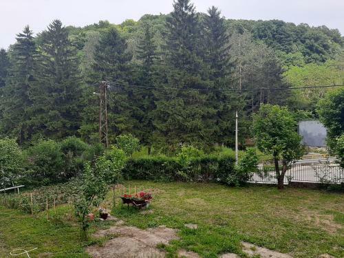 Apartamento ?umska Idila Rakovac