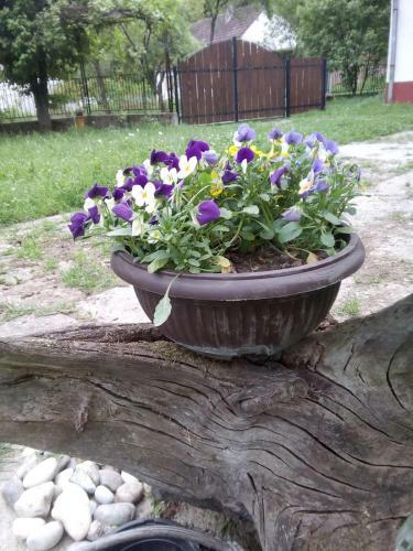 Apartamento ?umska Idila Rakovac