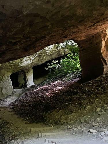 Apartamento ?umska Idila Rakovac