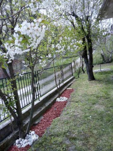 Apartamento ?umska Idila Rakovac