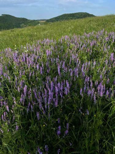 Apartamento ?umska Idila Rakovac