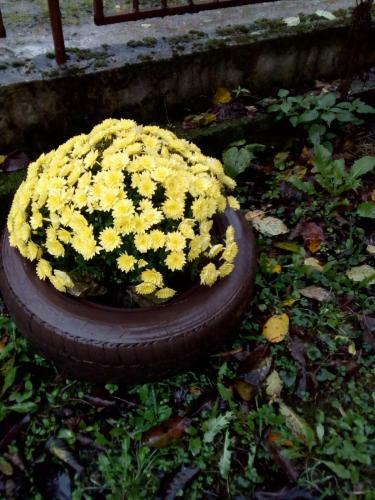 Apartamento ?umska Idila Rakovac