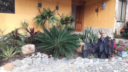 Villa Finca Guadalupe
