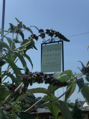 Bed & Breakfast Hooray Henrys