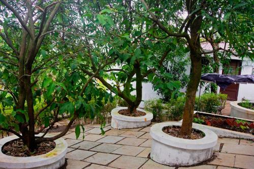 Nysa Villa Igatpuri