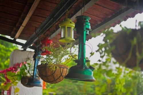 Nysa Villa Igatpuri