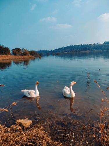 Hotel Mountain N Lake Resort