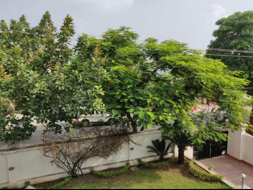 Hostal Dhairya Villa Channi Himmat
