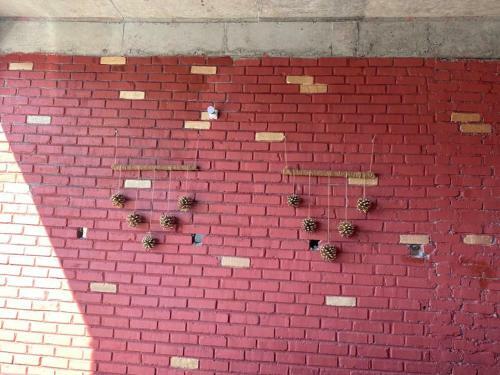 The Whispering Windows