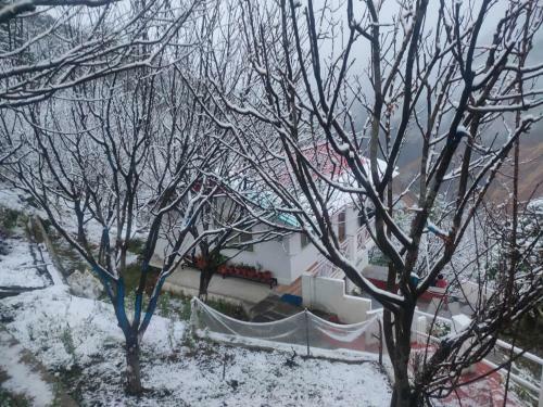 Ramneek Homestay