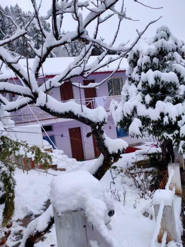 Ramneek Homestay