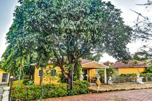 Collection O 85405 Hotel Shalimar Resort