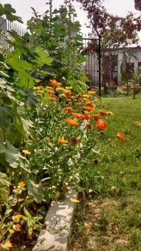 Hostal Lime-villa On Ganga Ghat