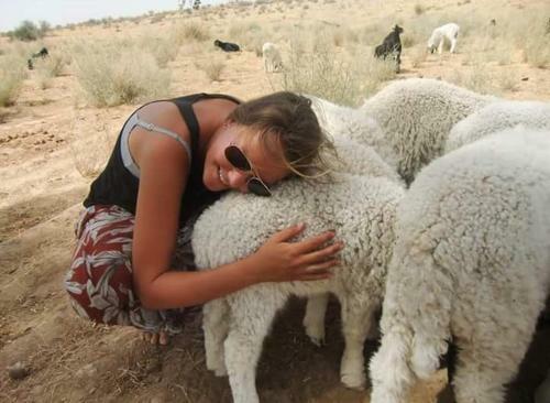 Hotel Explore Jaisalmer Desert Camp