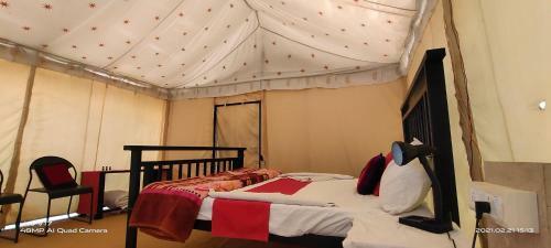 Incredible Desert Camp & Safari